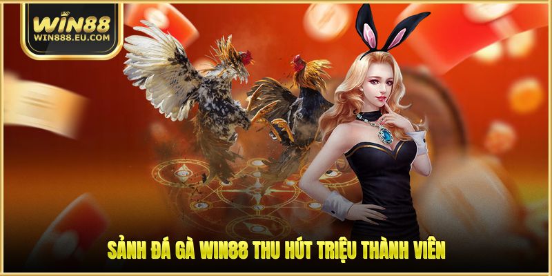 Đá Gà WIN88 - Khám Sân Chơi Cá Cược Chuyên Nghiệp Đá Gà WIN88 - Khám Sân Chơi Cá Cược Chuyên Nghiệp