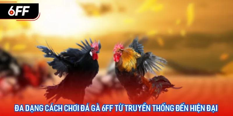 Đá Gà 6FF - Sân Chơi Cá Cược Uy Tín, Xanh Chín Hàng Đầu