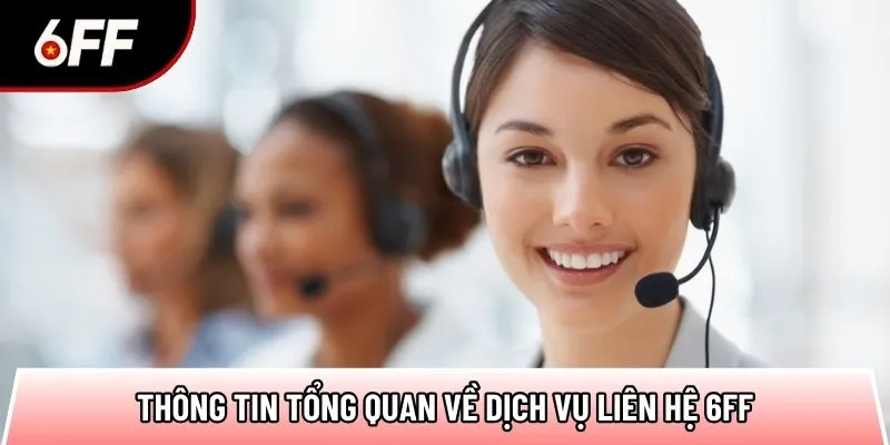Tổng Hợp Các Kênh Liên Hệ 6FF Hữu Ích, Tiện Lợi Nhất 2026