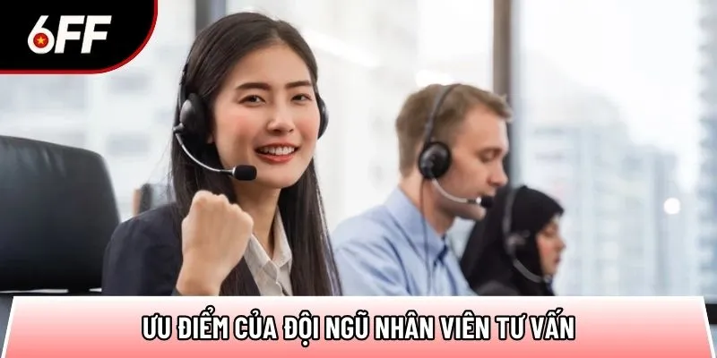 Tổng Hợp Các Kênh Liên Hệ 6FF Hữu Ích, Tiện Lợi Nhất 2026